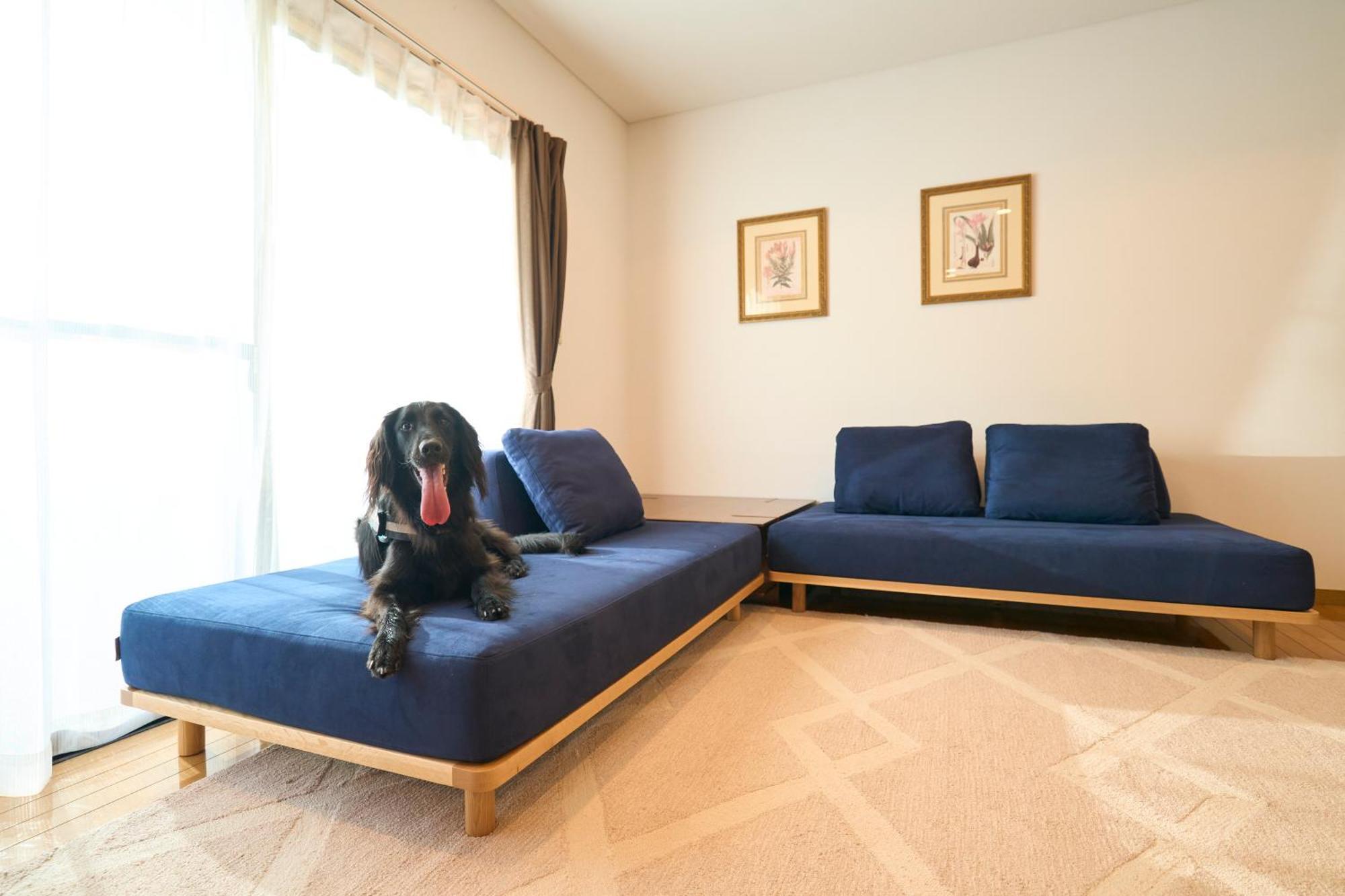 Suite Villa Izukogen Prime Ito  Luaran gambar