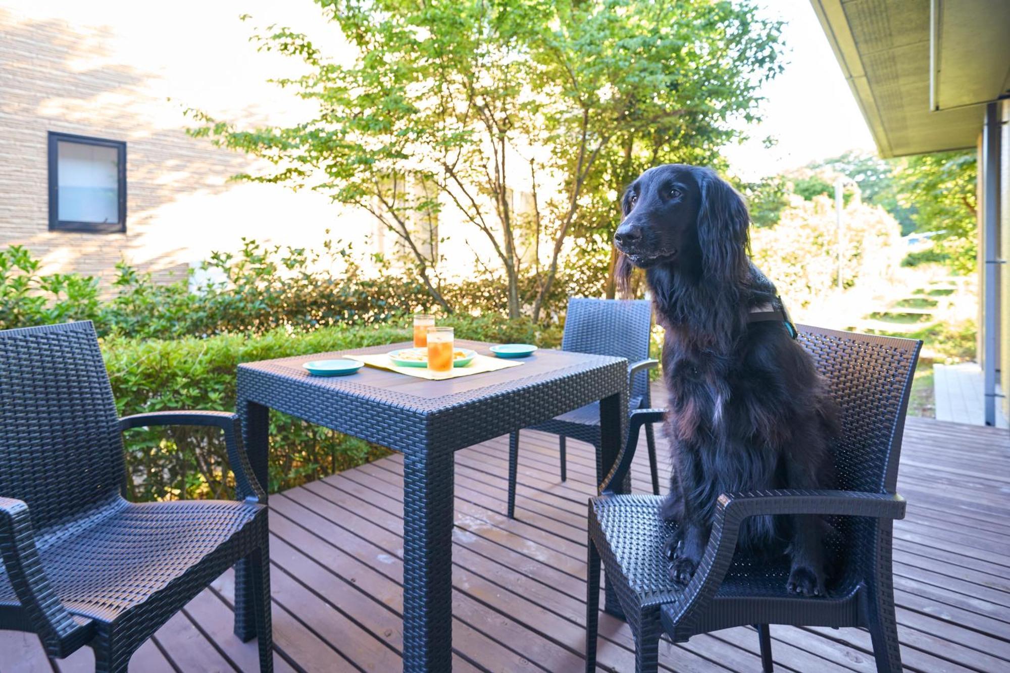 Suite Villa Izukogen Prime Ito  Luaran gambar
